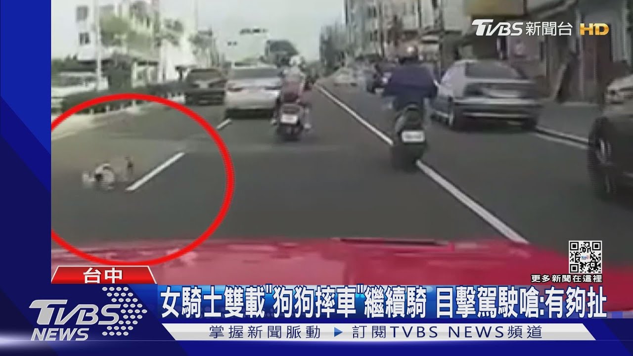 女騎士雙載「狗狗摔車」繼續騎 目擊駕駛嗆:有夠扯