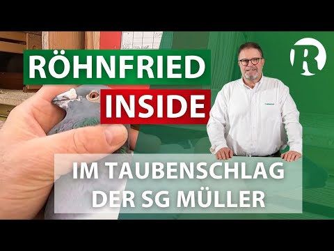 Röhnfried Inside - im Taubenschlag von Uwe Müller | Brieftaubensport