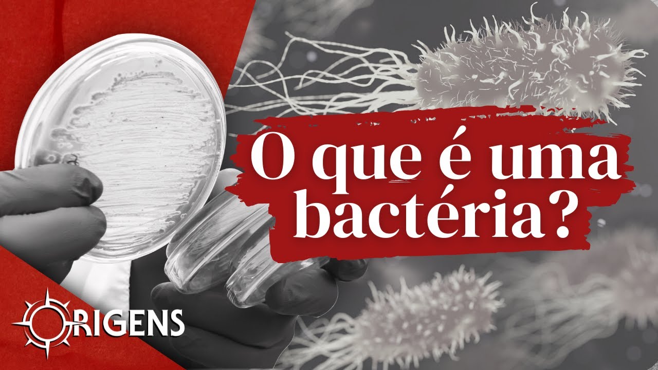 O que é uma bactéria | ORIGENS [TEMP 10 - EP 04]
