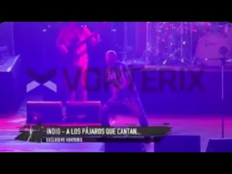 a los pájaros que cantan sobre la selva de internet (mendoza 13-12-2014)