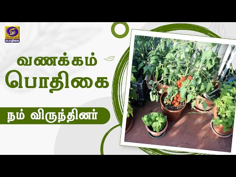 Madi Tottam|Vanakkam Podhigai| Illathin Selvam - Terrace Vegetable Garden | 03 /11 / 2021