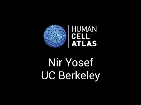 Nir Yosef at the Human Cell Atlas Computational Methods meeting - Stockholm, 1-2 June 2017