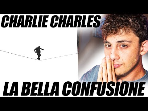 My Hardest Reaction | Charlie Charles - The Beautiful Confusion | itsDani Reaction + Vote
