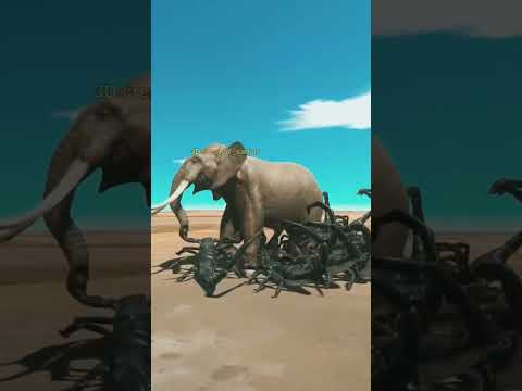 200 + Emperor Scorpion VS elephant 🐘 #shorts #short #shortsfeed #3danimation  #animals #animallover
