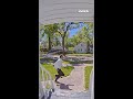Hot pursuit. 🐶 #shorts