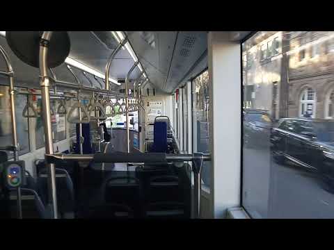 Transit Systems - 8083 - Yutong E12 Electric Bus[Leichhardt](389 Pyrmont)