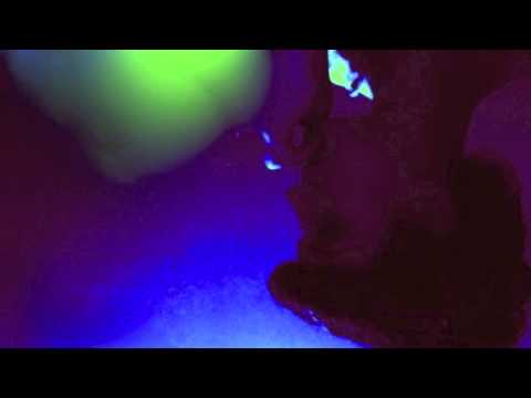 Passive Agressive-Blerta Kosova