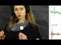Sound: heart sounds, Korotkov sounds and vascular doppler