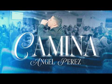 Angel Peréz and MLD Studios