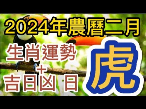 生肖每月運勢