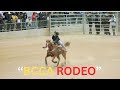 Black Cowgirls Redefining Rodeo Epic Barrel Racing In 4K