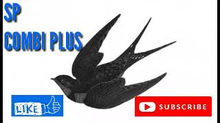 Download lagu Suara panggil walet COMBI PLUS mp3