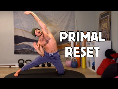 Primal Movement RESET | Laden Sie Ihren Körper an Tagen mit wenig Energie auf