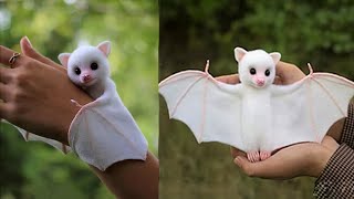 9 Cutest Exotic Pets In The World