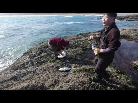 New Zealand Fishing Point - Opononi & Bluff