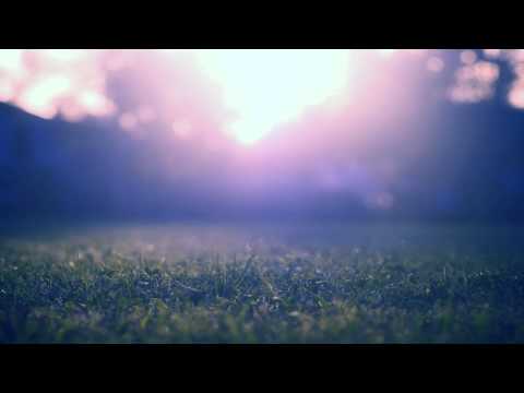 Blu Mar Ten ft Seba - Hunter (Malaky Remix HD)