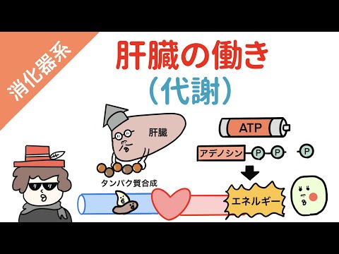 ヘキソースについて詳しく解説