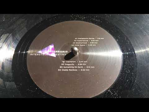 Thyladomid - Interstellar Destiny DIYNAMICLP12 - CONTINUOUS MIX