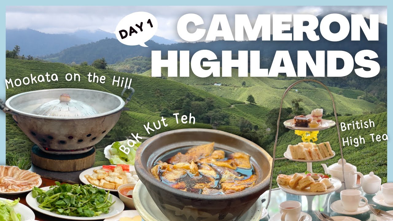 Cameron Highlands Vlog | High Tea at Jim Thompson Tea Room | Room Tour Century Pines Resort