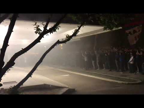 Torcida- igraj Zadre volimo te mi.. 21.5.2019.