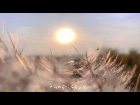 Footage of the beauty of creation #short #nature few634634