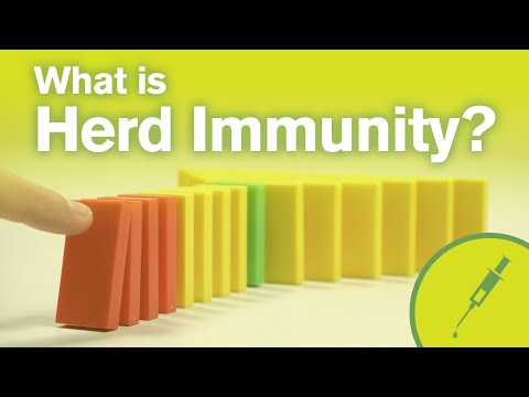 What is Herd Immunity?