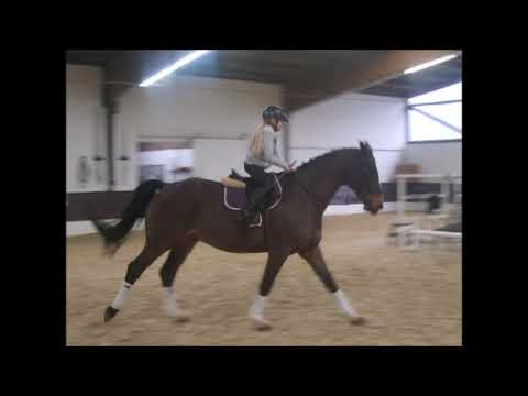 RUBINIO v. Rotspon- Wolkenstein II -for sale- VB 8.000,- Euro