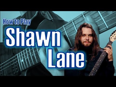 Examples 2 And 11 Of The Power Solos Booklet - Shawn Lane