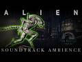 ALIEN Isolation Ambience Soundtrack Soundscape ALIEN ON BOARD