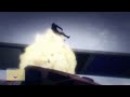 CUMSHOT MOMENTS 2