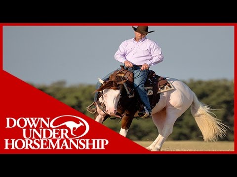 Clinton Anderson Presents: Titan a Legend in the Making, Lesson 4, Part 6 - Downunder Horsemanship