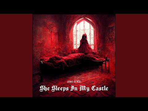 She Sleeps In My Castle (feat. FLX)