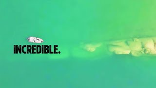 The Hidden #1 Bass Fishing Lake in America… EXPOSED