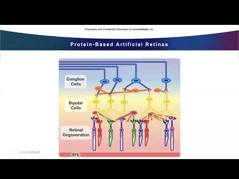 A New Approach to Restoring Vision: The Protein-Based Artificial Retina