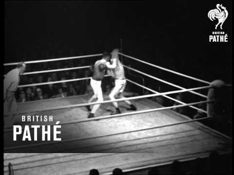 download lagu mp3 mp4 Golden Glove Boxer List Of Names Australia, download lagu Golden Glove Boxer List Of Names Australia gratis, unduh video klip Golden Glove Boxer List Of Names Australia