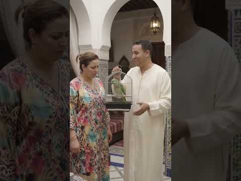 ‏ #comedy #ضحك #كوميديا #فكاهة #foryou #trending #fuuny #viral #fyp #shorts #morroco #algerie #نكت