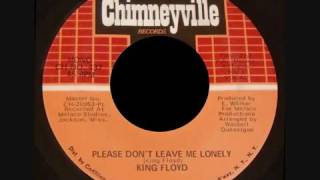 We're Not Parents, We're Just Bad People - The Transgender Lites (2016) Guubu Records