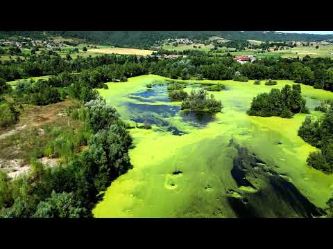 Etangs Bas en Basset