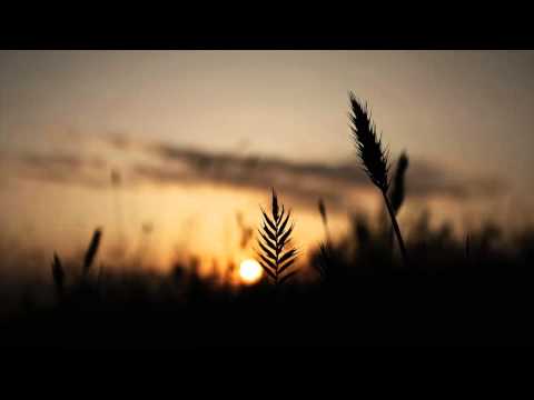 Stumbleine - Strawberry Blonde // Chilled.