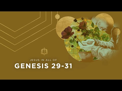 Genesis 29-31 | Jacob and Laban | Bible Study