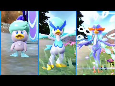 Shiny Quaxly and Evolutions Reaction (500+ Eggs)