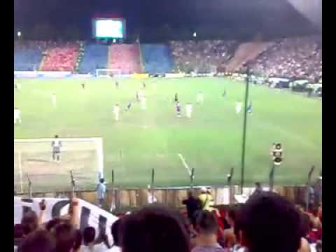 Galeria Stelei  scandari importiva catelusilor