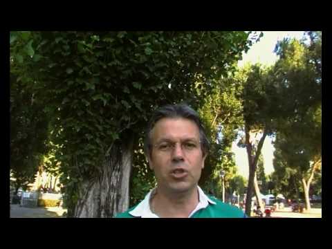 ARBORETUM di Antimo Palumbo -  L'albero della piccola vedetta lombarda