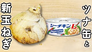 【新玉ねぎのレシピ】ツナ缶と和えるだけ！簡単和風サラダの作り方　箸が止まらないお手軽おかずレシピ　時短レシピ　節約レシピ　春レシピ