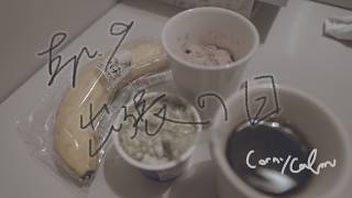 Ep.9 出張の日|ただ生活するだけの節約チャンネルCorny Calm  程よい生活感の【節約vlog】