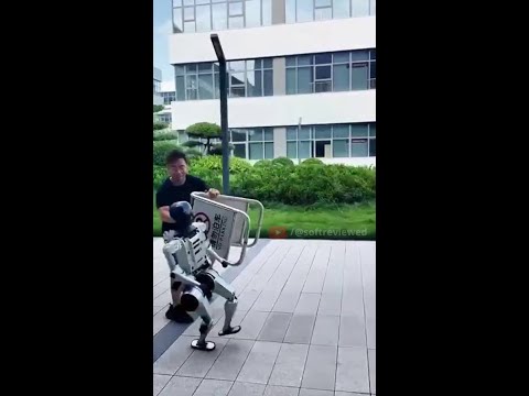 N2 (Athlete) Review Video 3