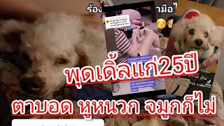 ยายน้ำหวานหมาพุดเดิ้ลแก่25ปี ตาก็ไม่เห็น จมูกก็ไม่ดี