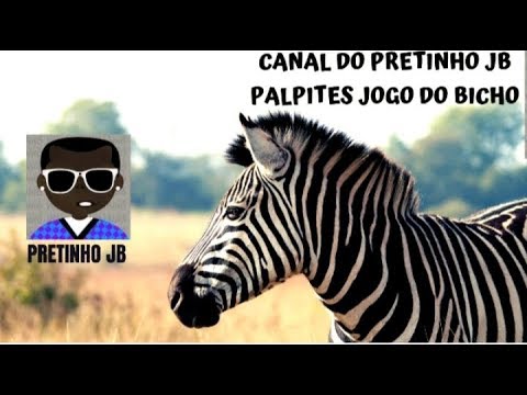 PALPITE DO JOGO DO BICHO - PARA O DIA 14/08/2019