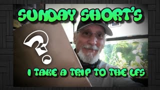 Sunday Short
