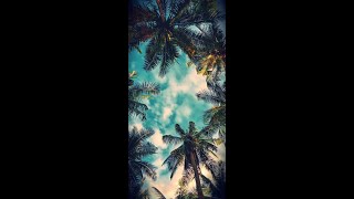 Download lagu story wa selamat pagi mp3